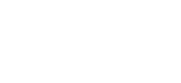 Tern - Logo